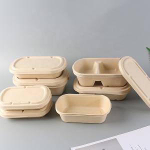China Leak Proof Sugarcane Fiber Pulp Disposable Food Container Biodegradable on sale
