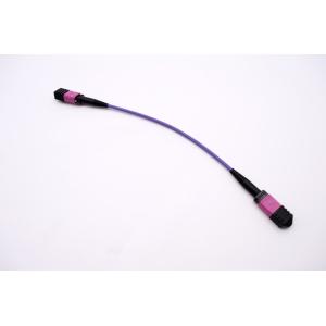 Buy cheap MTP MPO cable , MTP MPO Patch Cable 12 fiber OM3 OM4 50/125um Plenum Rated 40G from wholesalers