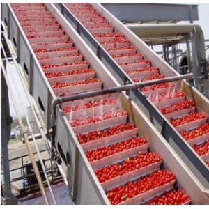  Turnkey Project Tomato Paste/Sauce Production Line Manufactures