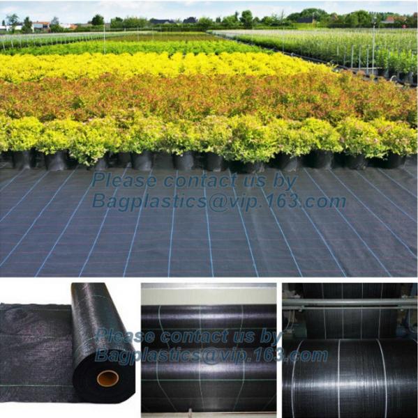 Heavy duty Weed barrier fabric, landscape fabric for weed control, biodegradable pp woven ground cover,Weed Barrier Fabr