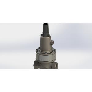 Adjustable Pressure Pilot Control Valve Accessories SS304 Body Outlet Manufactures
