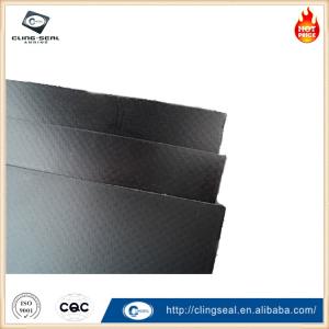  Chemical-Resistant Graphite Gasket Sheets for Harsh Environments Manufactures