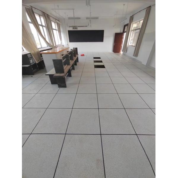 Customized Raised Access Floor