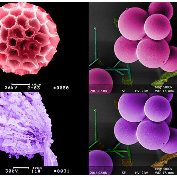 6x~1000000x Scanning Optical Microscope Digital Five Axis Motorized Stage