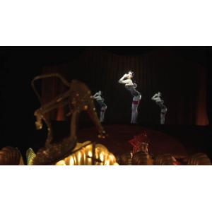 Eyeliner 3D Holographic Projection System for 3D Musion Virtual Hologram Stage