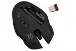 10m 2.4GHz High Quality Wireless Novelty Mouse / Mice Cordless USB 2.0 For PC