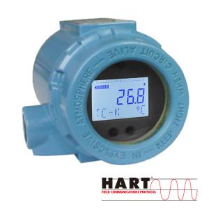  Custom Field Mounted Temperature Transmitter With RTD TC Input Manufactures