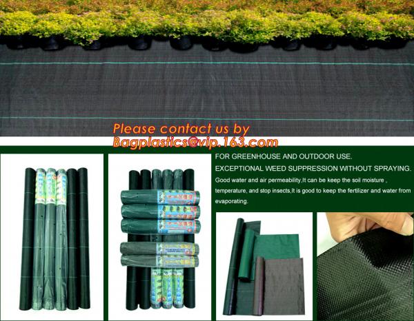 green color Plastic Ground Cover Mats mulch weed control fabric mat,Weed Barrier Around Fruit Trees PP Woven Weed Mat fo