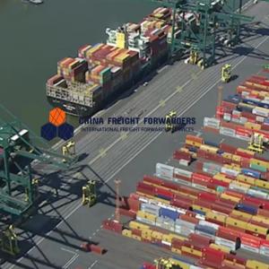 China Custom Warehousing Sea Freight Forwarder International Shipping China To South America on sale