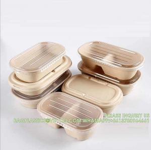 China Wholesale Sugarcane Bagasse Pulp Lunch Box Takeaway Food Container Diaposiable Recyclable Sugarcane Packaging Box on sale