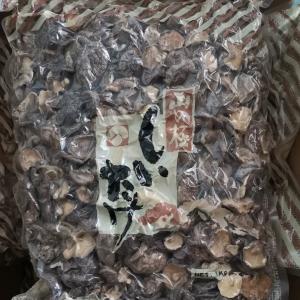  Natural Bulk Dry Shiitake Mushroom Dried Shiitake Mushrooms Organic Manufactures