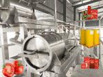 High Temperature Resistance Tomato Processing Line with Customized Capacity and