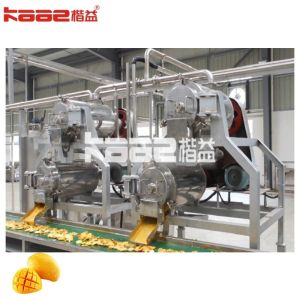 Fresh Mango Customized Complete Mango Juice Processing Automatic Machine