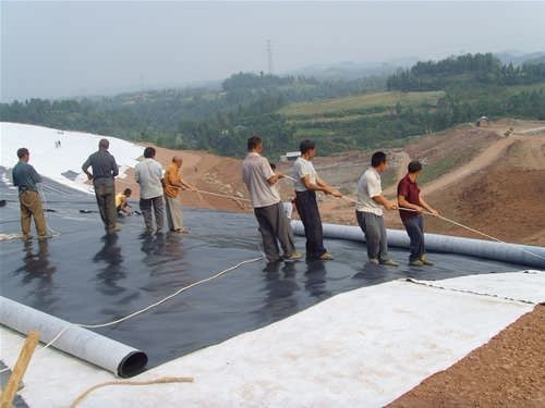 1m-8m Width HDPE Geomembrane for Shrimp Liner Waterproof Projects Strong and Durable