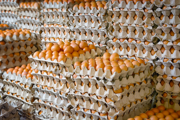 High Efficiency Pulp Molding Machine , Paper Egg Tray Making Machine