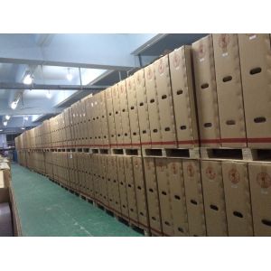 ShenZhen Ingenic Education Equipment Co., Ltd.