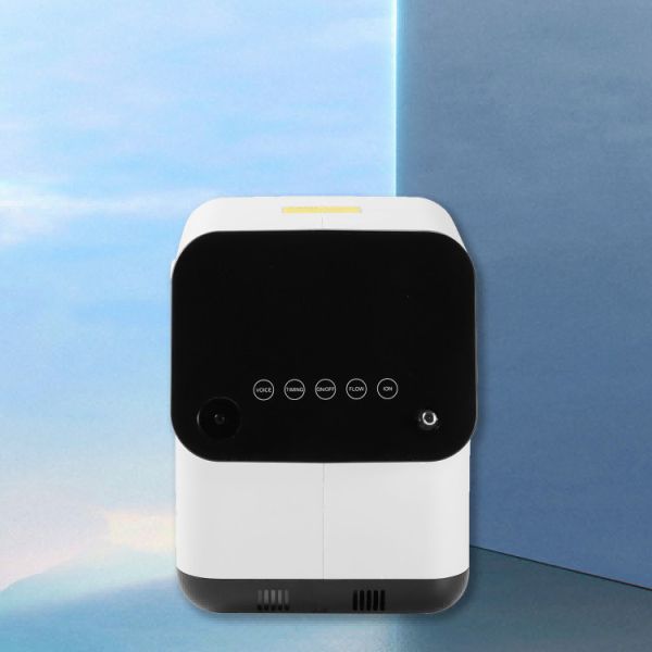 Medical Devices 1 Litre Oxygen Concentrator Machine For Home