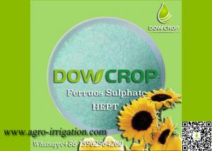 China DOWCROP HIGH QUALITY 100% WATER SOLUBLE HEPT SULPHATE FERROUS 19.7% GREEN CRYSTAL MICRO NUTRIENTS FERTILIZER on sale