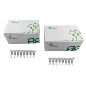  Basic RNA Amplification Kit Stable Easy Operate 14 Months Validity Manufactures
