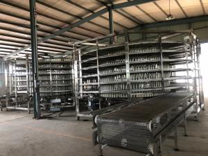 China                  Bakery Machine Spiral Chiller and Freezer for Bakery Professional Manufacturer              on sale