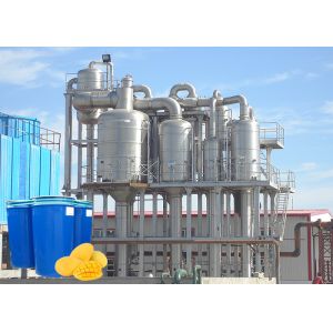 10t/H 20t/H Concentrated Mango Pulp Processing Line