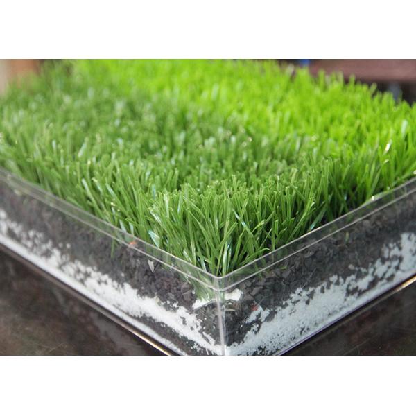 Waterproof Decorative Playground Synthetic Grass Fake Lawn SGF CE Certification
