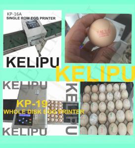 High - Efficiency Egg Inkjet Coding Printer With 2mm - 9mm Printing Word Height