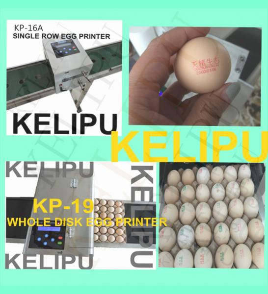 Quality High - Efficiency Egg Inkjet Coding Printer With 2mm - 9mm Printing Word Height for sale