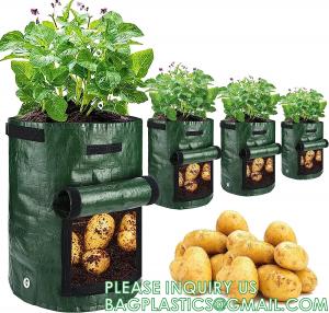 China Potato Grow Bags, 4 Pack 10 Gallon With Flap And Handles Planter Pots For Onion, Fruits, Tomato, Carrot - Green on sale