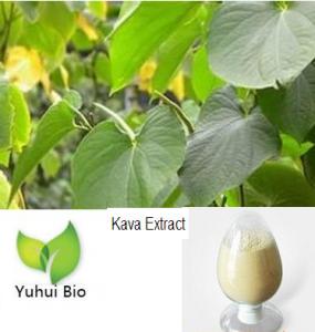  Kava Root Extract,kava extract,kava extract powder,anti depression, Kavalactones Manufactures