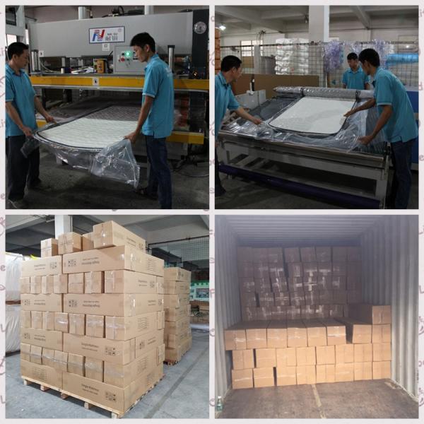 Top-Ranking Suppliers In China Rayson Mattress Pocket Spring Mattress Factory