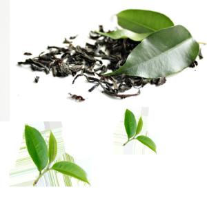  Green Tea Extract Tea Polyphenols 20%-98% Brown, white powder Manufactures