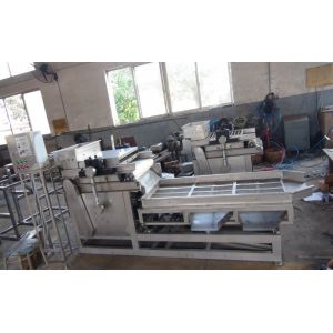  Almond Peanut Chopping Machine , Automatic Nut Cracker Machine Low Noise Manufactures