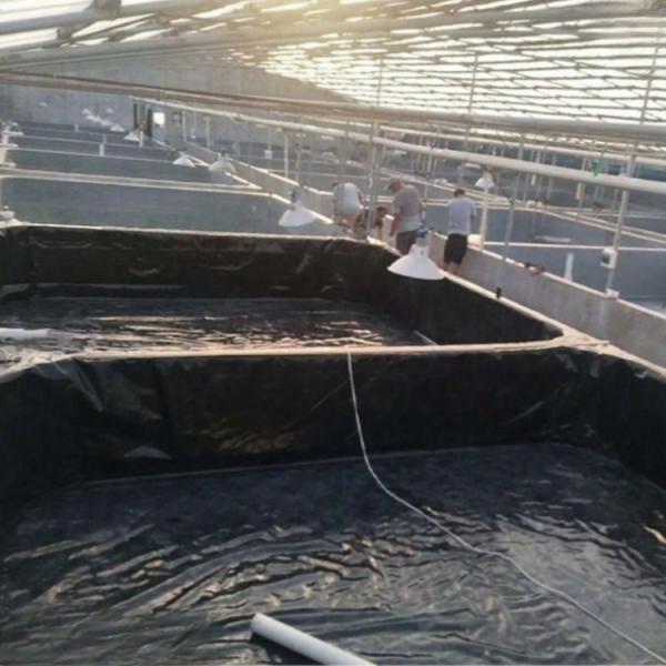 Modern Style Fish Pond Liner HDPE Geomembranes for and Project Solution Capability