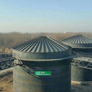  WWTP 800m3 Biogas Digester Tank RNG Anaerobic Digester Septic Tank Manufactures