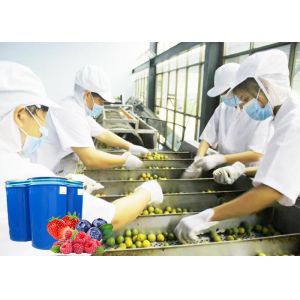  Customized Berry Processing Machinery For Berry Juice Production Line Manufactures