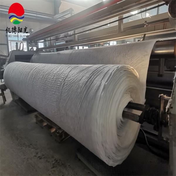 Contemporary Design Style 3D Composite Drainage Geonet for Drainage in HDPE PP PET