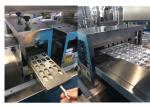 Stainless Steel Pharmacy Alu Alu Blister Packing Machine With Mold Easily