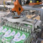 Automatic Palletizing System Line Machine Customized Robot Palletizer