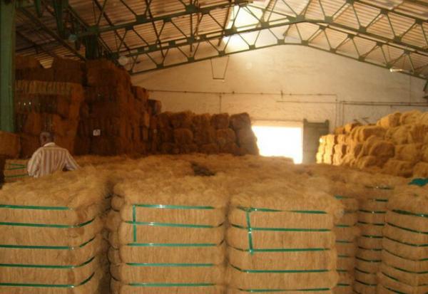 100% Natural Coir coconut fibre products best offer/100% Coconut Coir Fibre for Exports