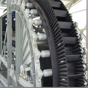  China belt conveyor machine for anto manure removal system Manufactures