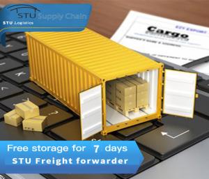 China Sea freight forwarder agent from china to USA have own warehouse by DDU DDP on sale