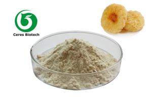  10% 50% Natural Tremella Fuciformis Mushroom Extract Powder Manufactures