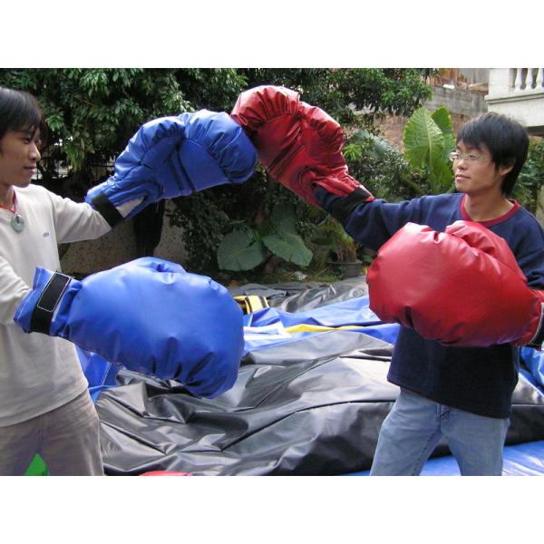 Sumo Wresting Inflatable Amusement Park
