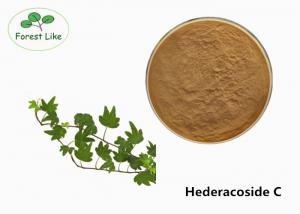  Food Field Ivy Leaf Extract Hederacoside C / Hedera Helix Extract Hederagenin Powder Manufactures