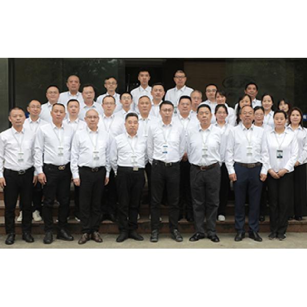 1m 3m 5m Length UTP CAT6 Patch Cord RJ45 Computer Network Jumper telecom