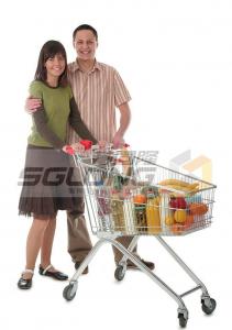  Metal Supermarket Shopping Trolley , Grocery Shopping Trolleys Zinc Plated Surface Manufactures