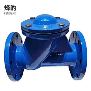 China DIN3202 F6 Ductile Iron Check Valve For Sewer Line 300mm PN10 Y Strainer on sale