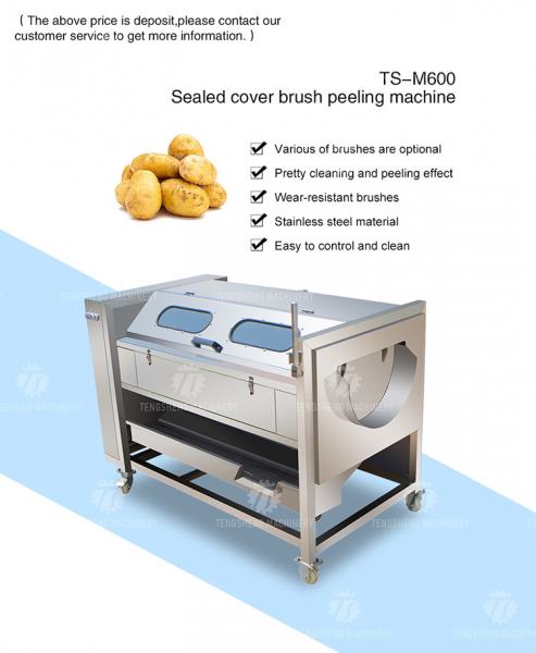Brush Potato Washing And Peeling Machine SS Commercial Vegetable Sealing Cover Type