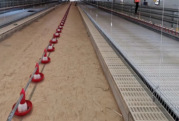 90 Degree Chain Automatic Pan Feeding System